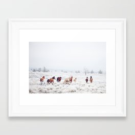 Framed Prints By Kevin Russ Society6