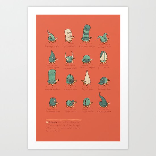 A Study of Turtles Art Print