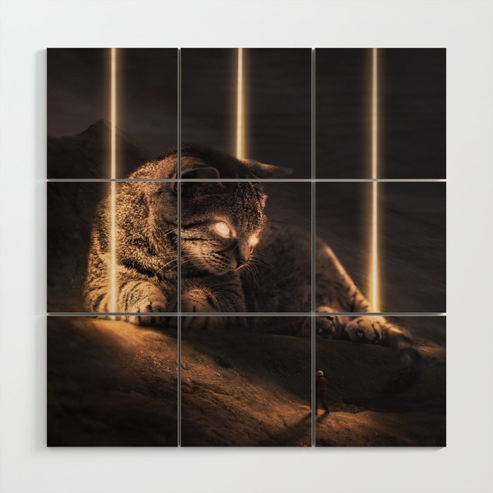 Cat in Space Wood Wall Art