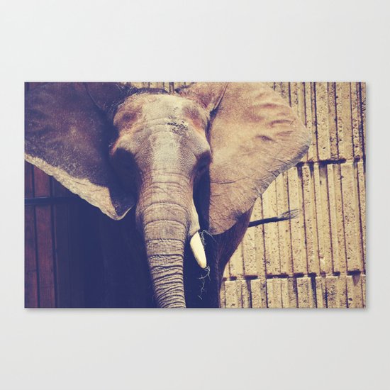 ELEPHANT Canvas Print