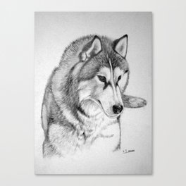 Siberian  Husky Canvas Print