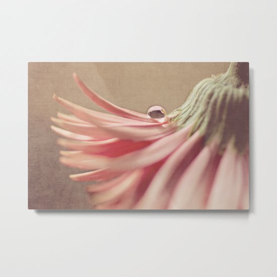 Pixie Hat Metal Print