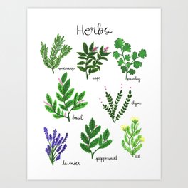 Kitchen Kitchen Herbs Art Print