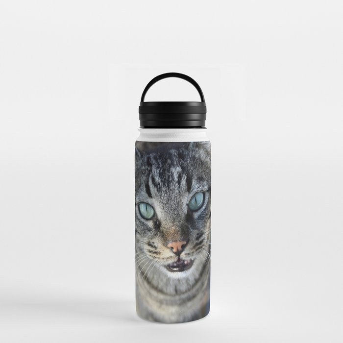 I Follow My Whiskers Tabby Cat Photography Water Bottle