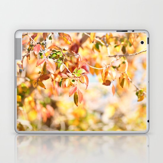 Enchanted... Laptop & iPad Skin
