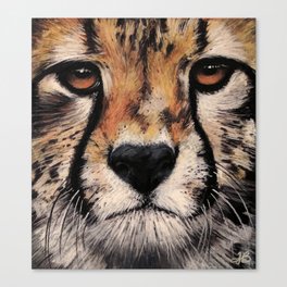 Cheetah, Savannah Hunter Canvas Print