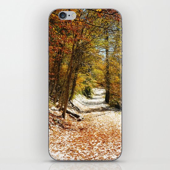 The First Snow iPhone Skin
