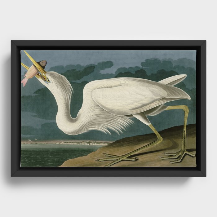 Framed Canvas