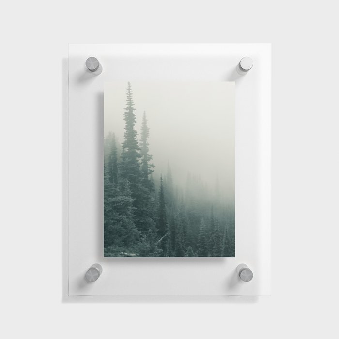 Fog Mist Misty Forest Ombre Island Northwest Washington Oregon Nature Outdoors Floating Acrylic Print
