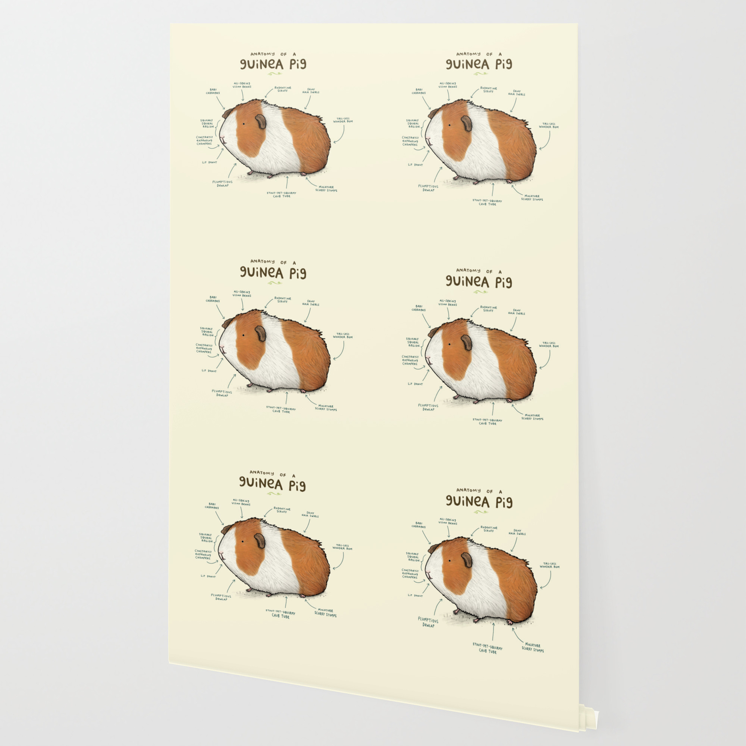 Anatomy Of A Guinea Pig Wallpaper By Sophiecorrigan Society6