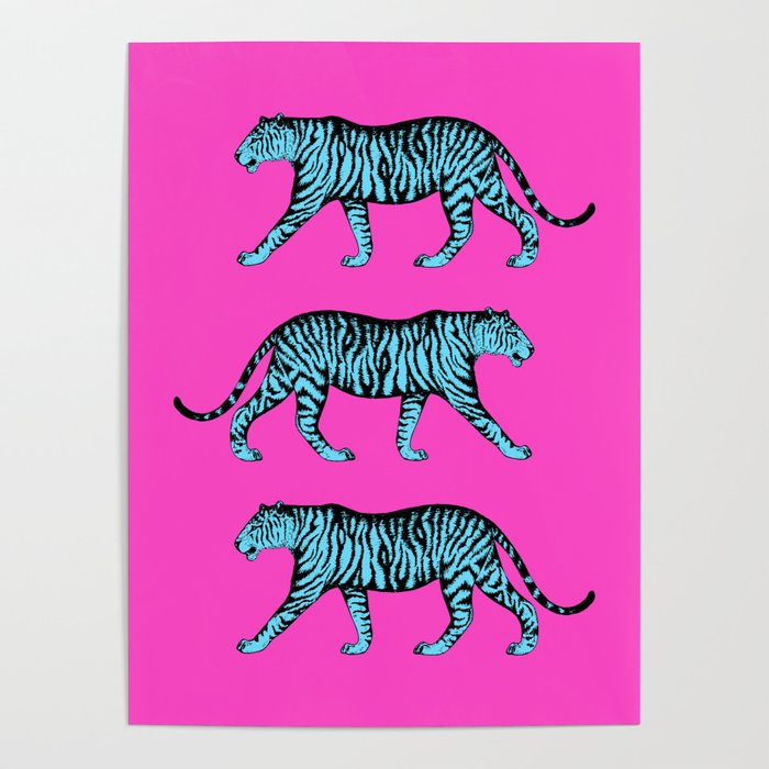Tigers (Magenta and Blue) Poster