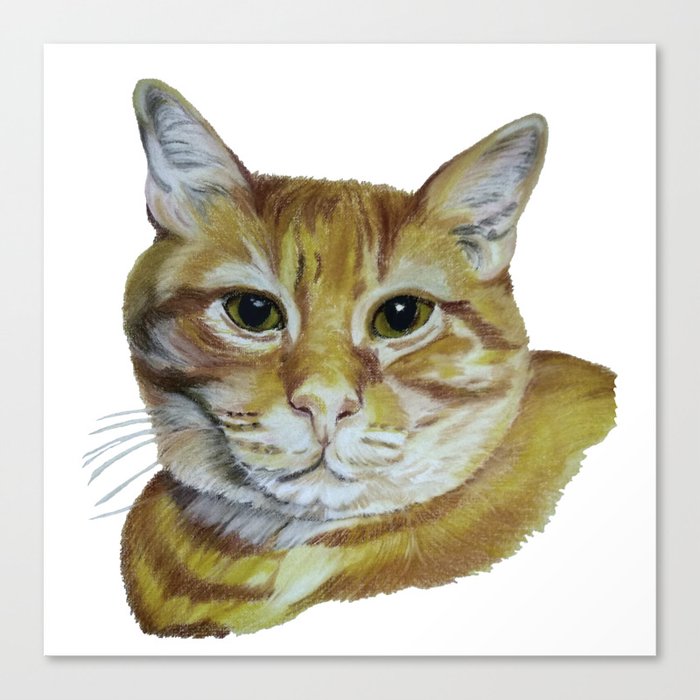 Golden Cat Placido Canvas Print