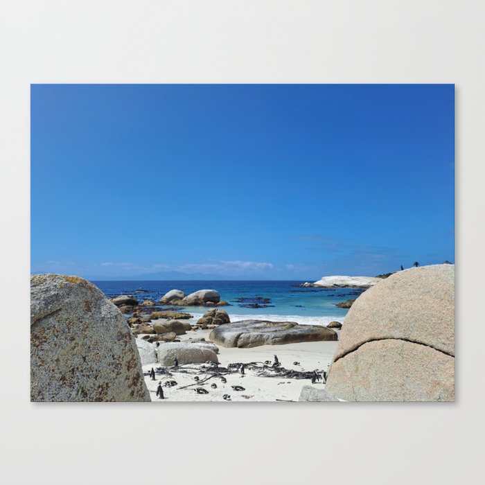 Capetown rocky beach Canvas Print