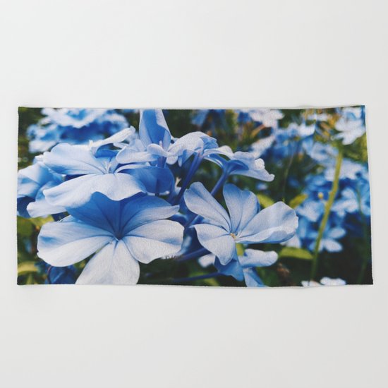 Dainty Beach Towel