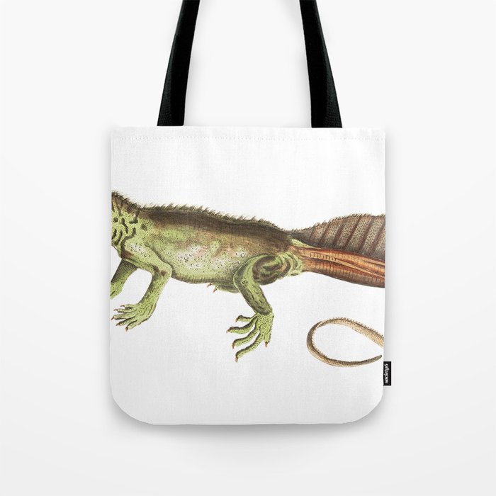 Amboina Lizard or Long-Tailed Variegeted Lizard Tote Bag