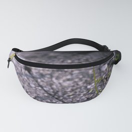 # 176 Fanny Pack