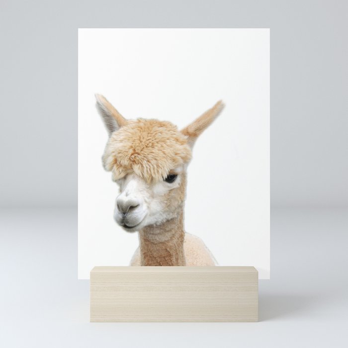 Fawn Alpaca Mini Art Print