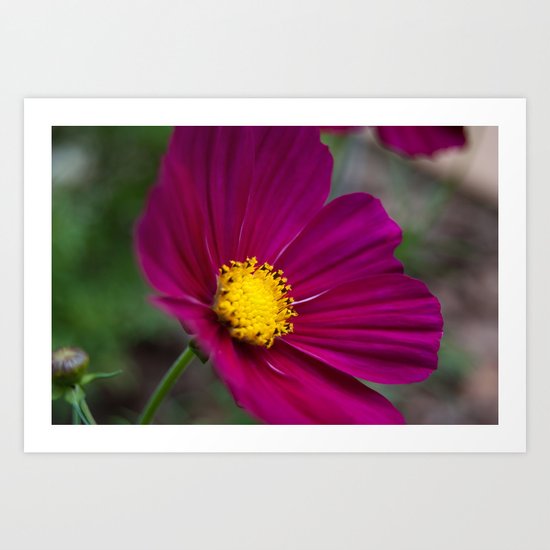 Cosmo Art Print