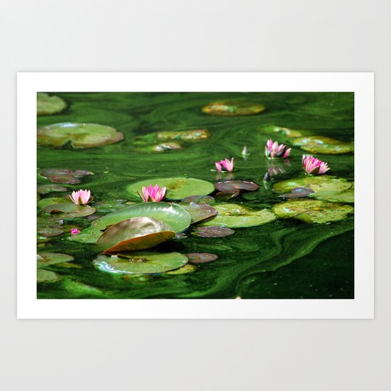Water Colors Art Print