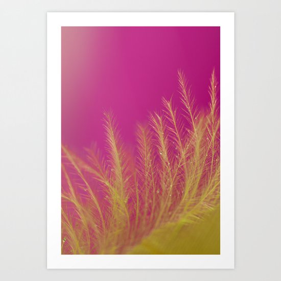 Softly Art Print