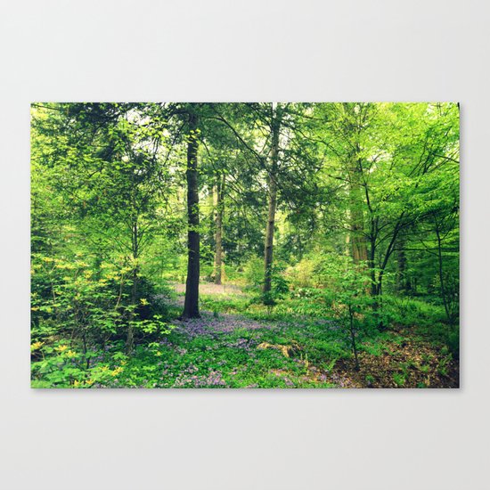 Forest Canvas Print