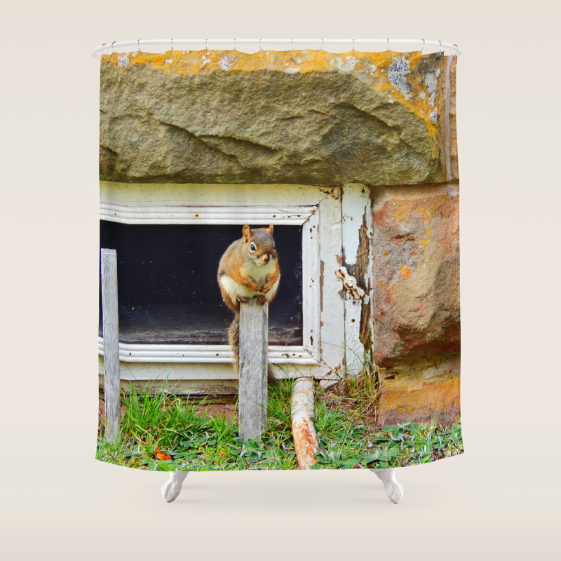 Church Squirrel Shower Curtain By Danbythesea Society6