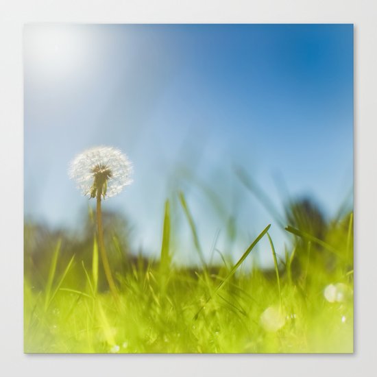 Blue & Green & Dandy Canvas Print