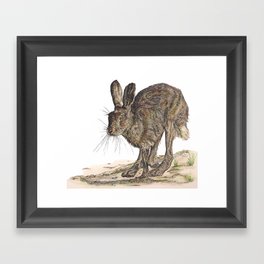 Hare II Framed Art Print