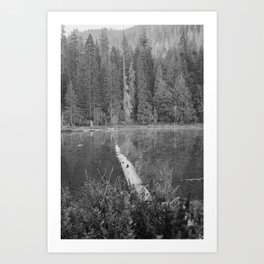 Log in the Lake | PNW Black and White Photography Art Print