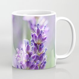 lavender Coffee Mug