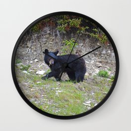 Young black bear munches on a dandelion in Jasper National Park Wall Clock
