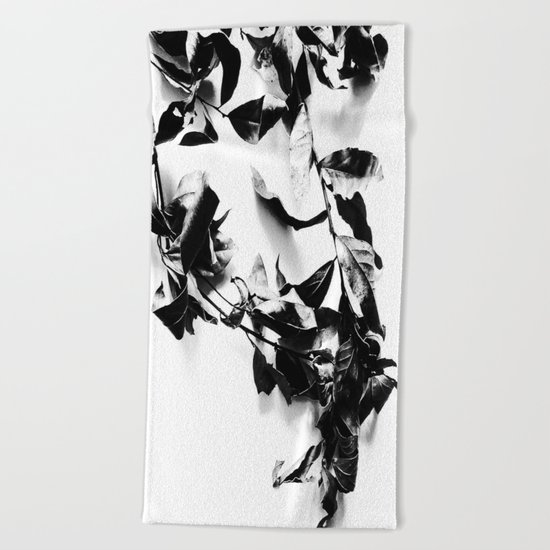 Bay leaves 4 Beach Towel