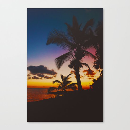 Palm Spring Canvas Print