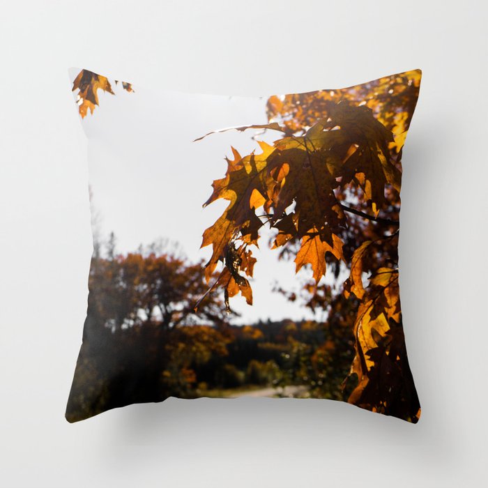 Autumns Here Throw Pillow