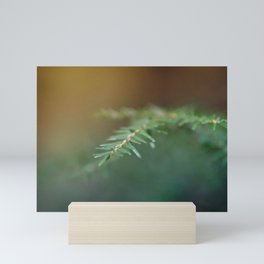 Seeking Pine Mini Art Print