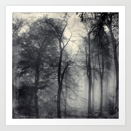 realm of shades Art Print