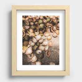 Coconuts Ubud Bali  / Travel photography art print -  coconut close up  Recessed Framed Print