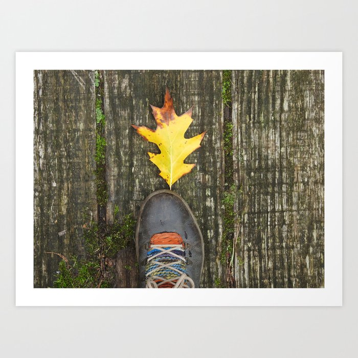 Autumn leaves 3 Art Print
