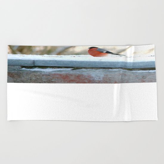 Red Plumage Beach Towel