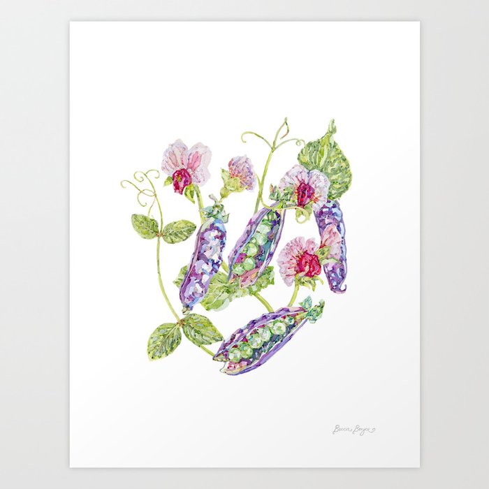 Purple Podded Peas Art Print