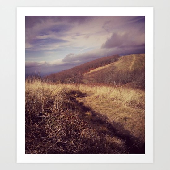 Mountain Trail Art Print