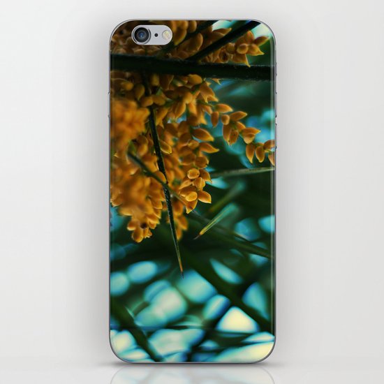 The Amazon. iPhone & iPod Skin