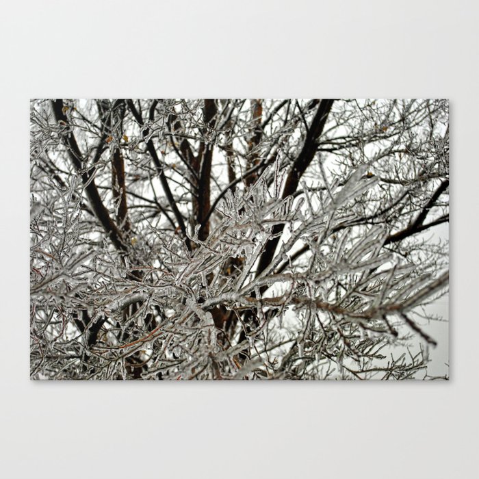 Frozen Tree | 2 Canvas Print