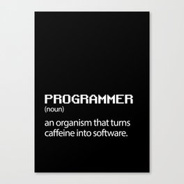 Computer Programmer / Developer Funny Wall Art Canvas Print