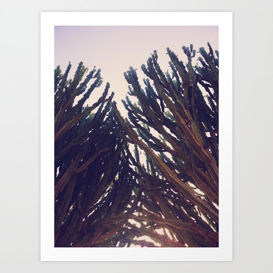 cactus76 Art Print
