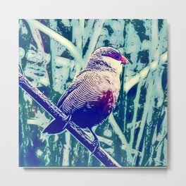 Bird Estrilda astrild Metal Print | Drafting, Concept, Nature, Vintage, Illustration, Rereading, Redbeak, Photo Collage, Bird, Decoupage 
