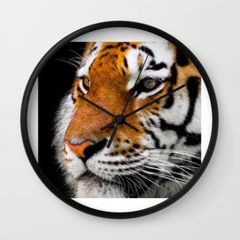 Close up portrait of a tiger Wall Clock