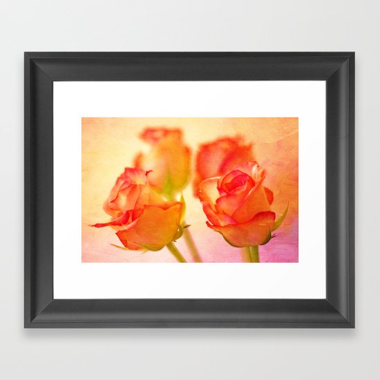 Roses Framed Art Print