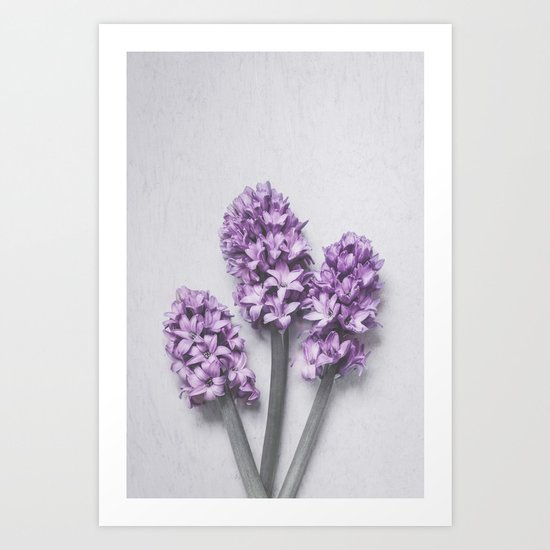Three Light Purple Hyacinths Art Print