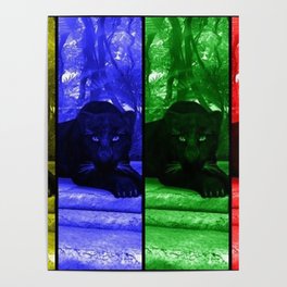 Black panther in colors Poster